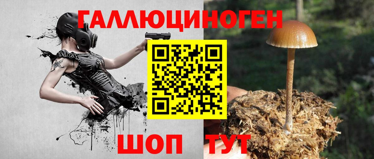 Галлюциногенные грибы мицелий Кострома