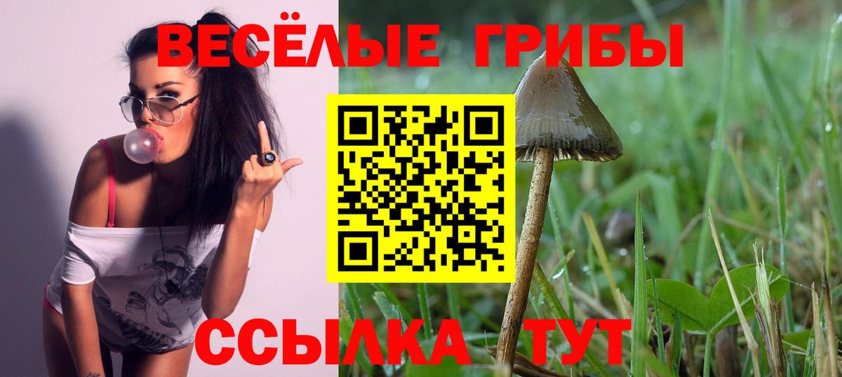 Кострома  Галлюциногенные грибы мухоморы  Вход с VPN 